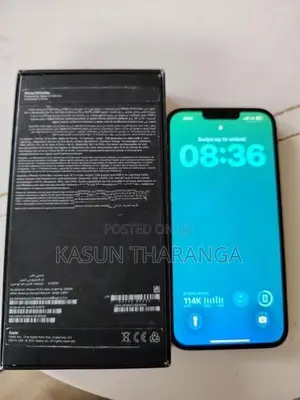 Apple iPhone 13 Pro Max (Used)
