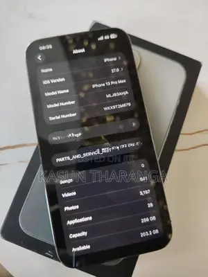Apple iPhone 13 Pro Max (Used)