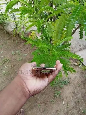Apple iPhone XS (Used)
