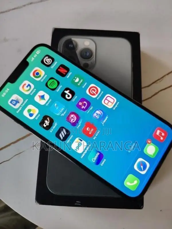 Apple iPhone 13 Pro Max (Used)