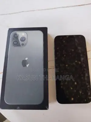 Apple iPhone 13 Pro Max (Used)