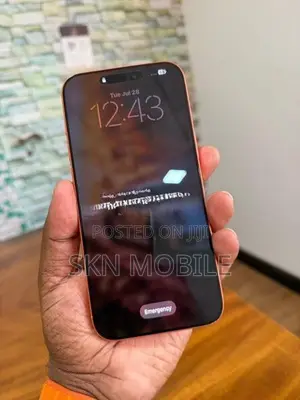 Apple iPhone 17 Pro Max (Used)