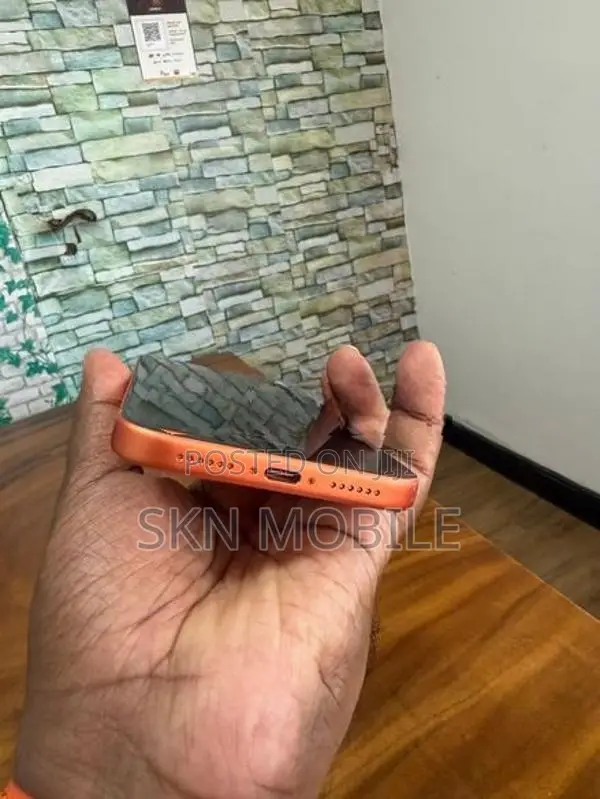 Apple iPhone 17 Pro Max (Used)