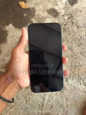 Apple iPhone 13 Pro Max (Used)