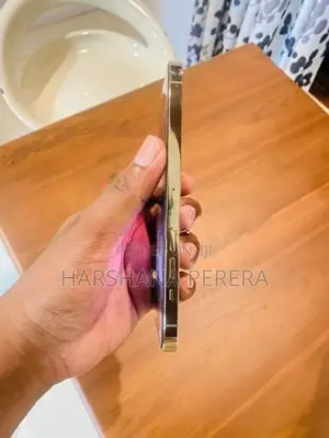 Apple iPhone 13 Pro Max gold (Used)