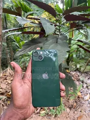 Apple iPhone 13 (Used)