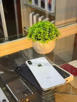 Apple iPhone XS 256GB (Used)