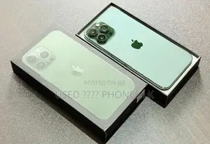 Apple iPhone 13 Pro Max 256GB (Used)