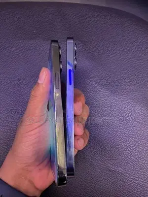 Apple iPhone 13 Pro (Used)