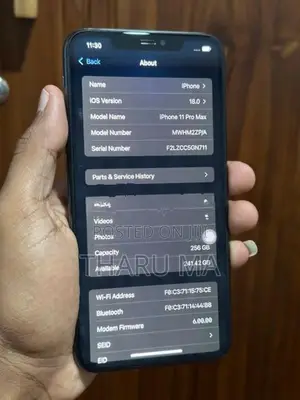 Apple iPhone 11 Pro Max 256GB (Used)