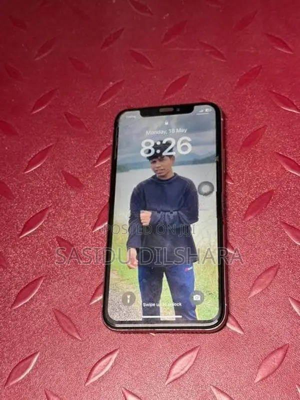 Apple iPhone X 256gb (Used)