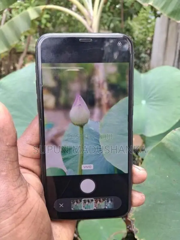 Apple iPhone 11 Pro 256GB (Used)
