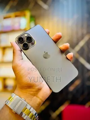 Apple iPhone 13 Pro Max (Used)