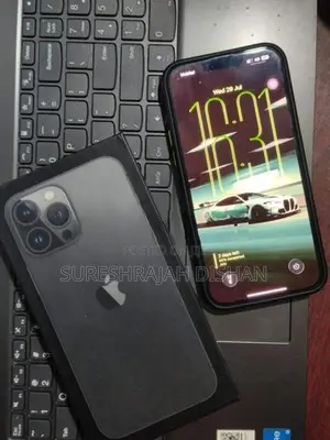 Apple iPhone 13 Pro Max (Used)