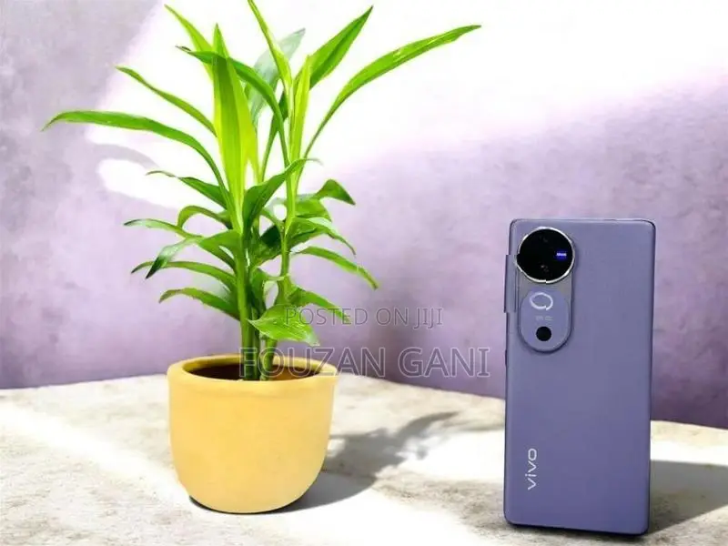 Vivo V40 (Used)