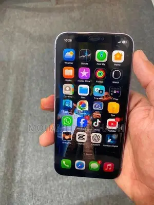 Apple iPhone 12 (Used)