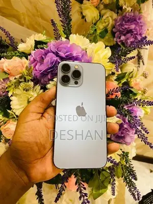 Apple iPhone 13 Pro Max 128GB (Used)