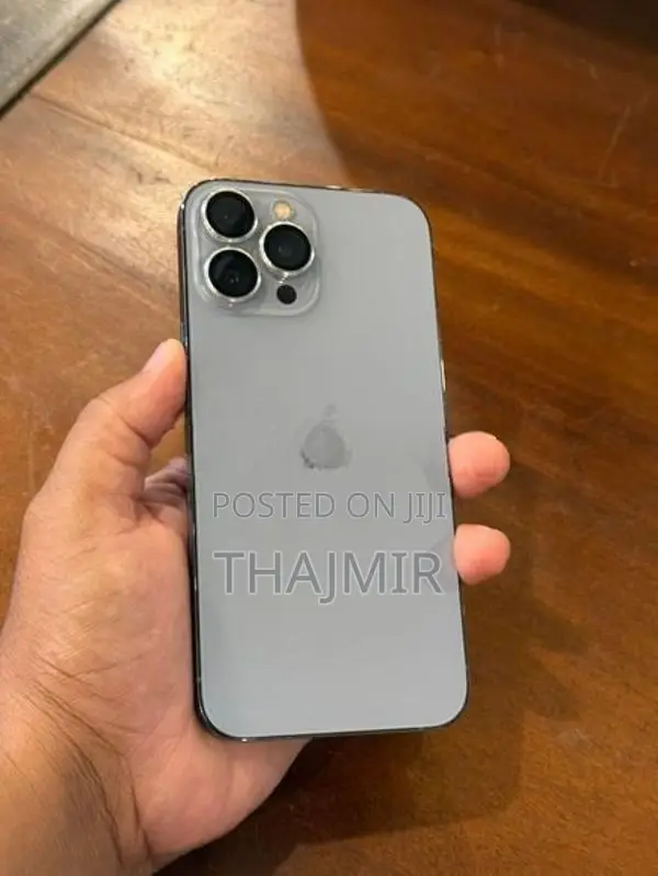 Apple iPhone 13 Pro Max (Used)
