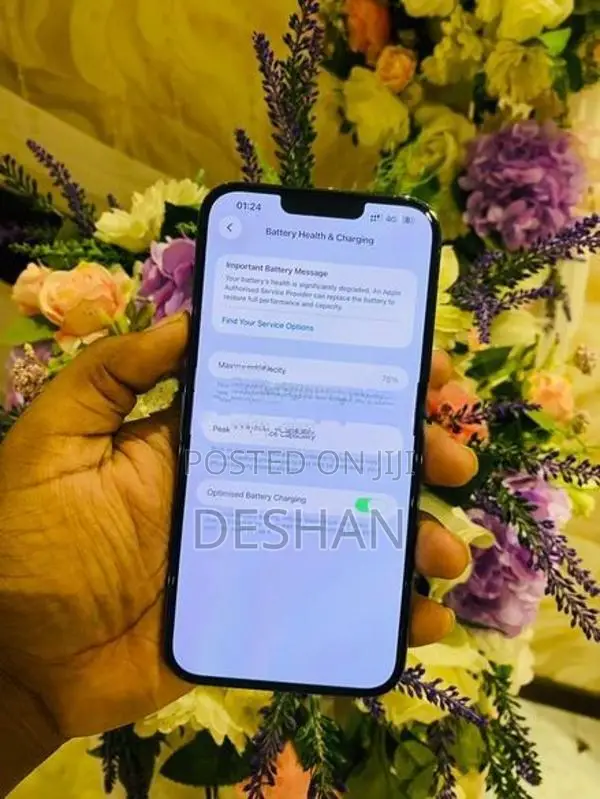 Apple iPhone 13 Pro Max 128GB (Used)