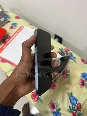 Apple iPhone 13 Pro Max 128Gb (Used)