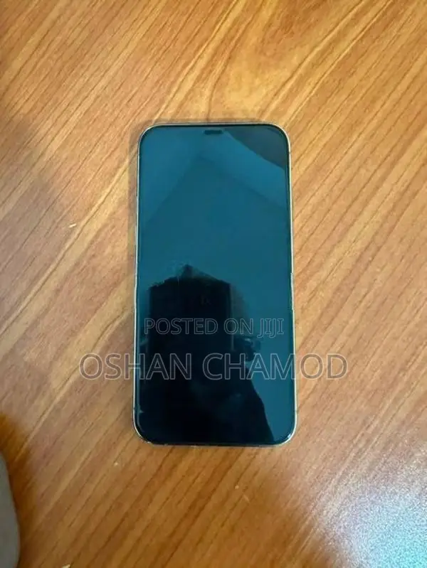 Apple iPhone 12 Pro (Used)
