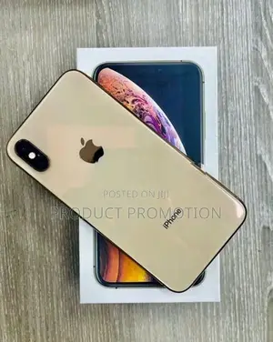 Apple iPhone XS 256GB (Used)
