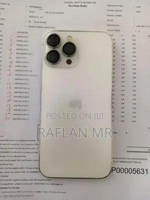 Apple iPhone 13 Pro Max (Used)