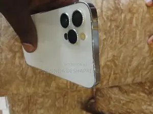 Apple iPhone 12 Pro (Used)