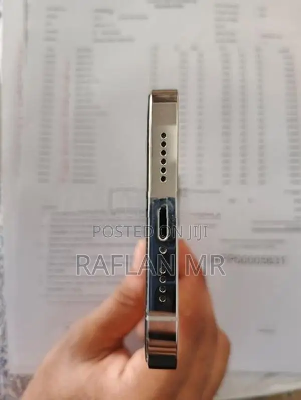 Apple iPhone 13 Pro Max (Used)