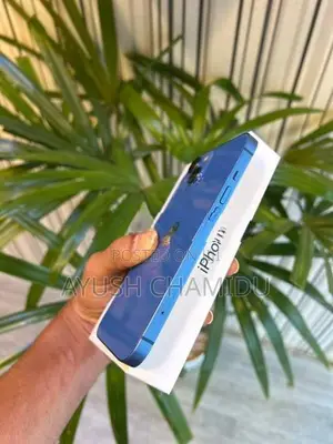 Apple iPhone 13 (Used)