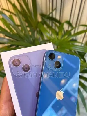 Apple iPhone 13 (Used)
