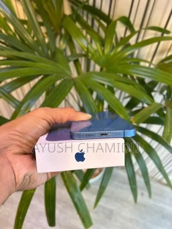 Apple iPhone 13 (Used)