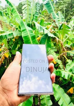 Samsung Galaxy S24 Ultra (Used)