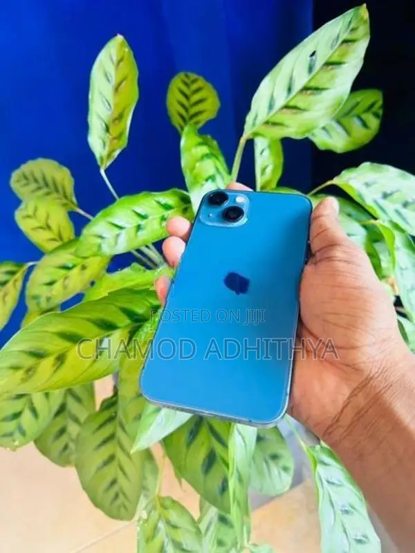 Apple iPhone 13 (Used)