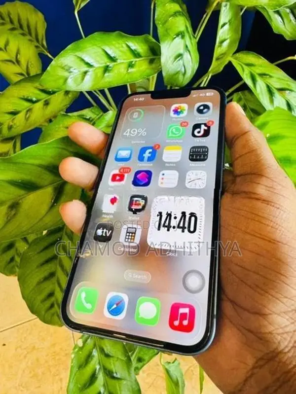 Apple iPhone 13 (Used)
