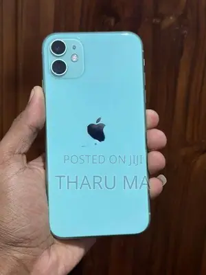 Apple iPhone 11 64Gb (Used)