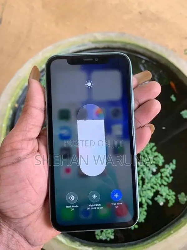 Apple iPhone 11 (Used)