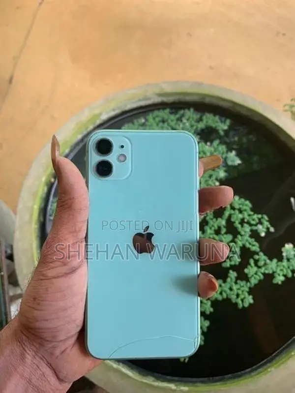 Apple iPhone 11 (Used)