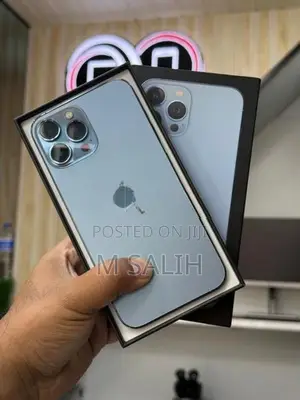 Apple iPhone 13 Pro Max (Used)