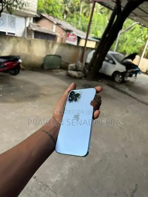 Apple iPhone 13 Pro Max (Used)