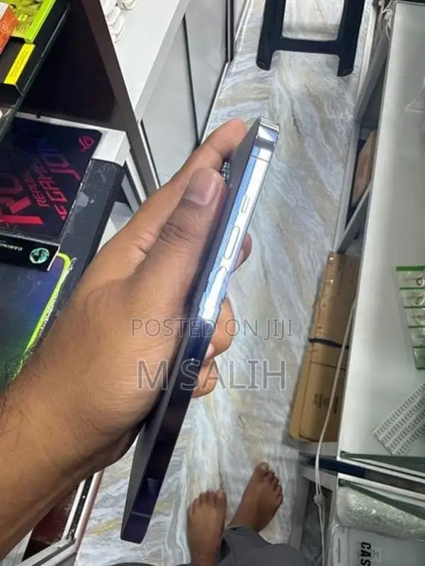 Apple iPhone 13 Pro Max (Used)