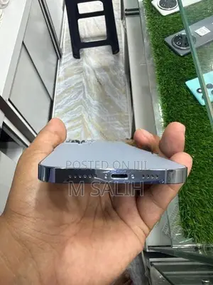 Apple iPhone 13 Pro Max (Used)