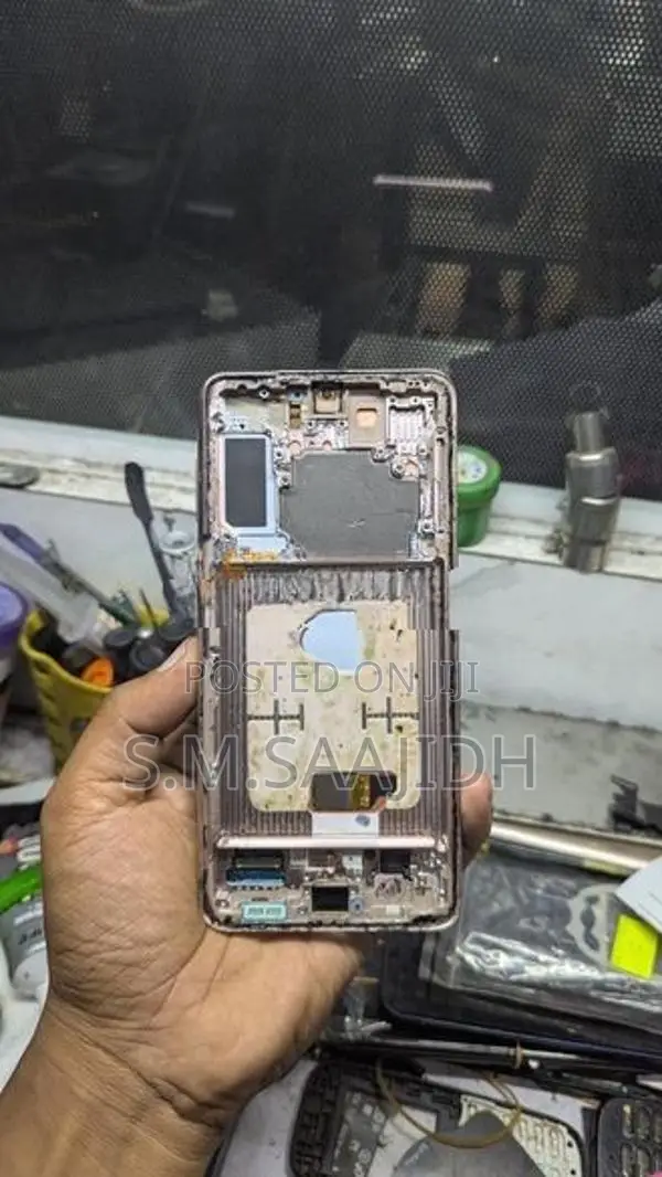 Samsung Galaxy S21 Plus Display