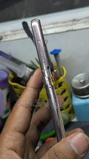 Samsung Galaxy S21 Plus Display