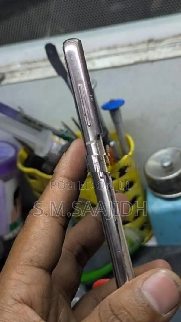 Samsung Galaxy S21 Plus Display