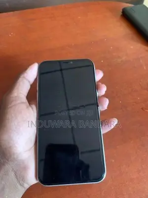 Apple iPhone 11 (Used)