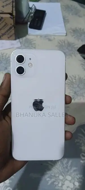 Apple iPhone 12 (Used)