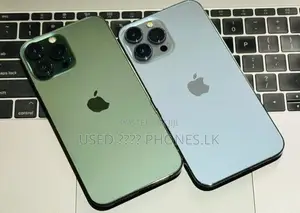 Apple iPhone 13 Pro Max Green,Blue | 256GB (Used)