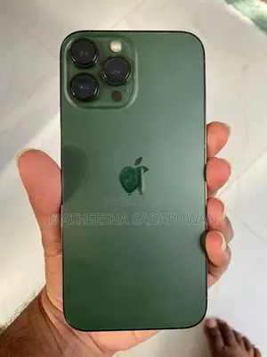 Apple iPhone 13 Pro Max (Used)
