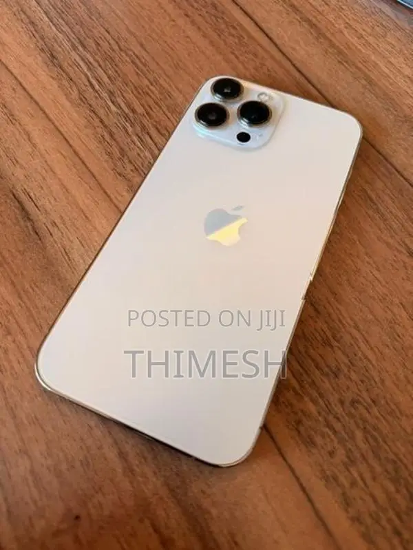 Apple iPhone 13 Pro Max 256GB (Used)